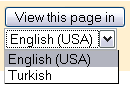 language option